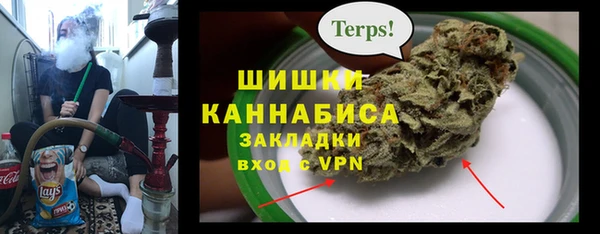 стаф Абинск