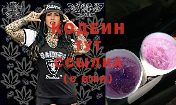 гашик Абаза