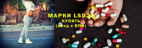 стаф Абинск