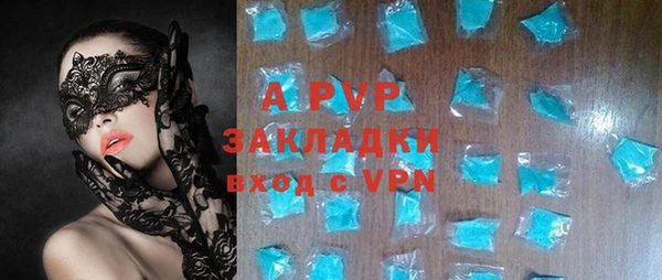 стаф Абинск