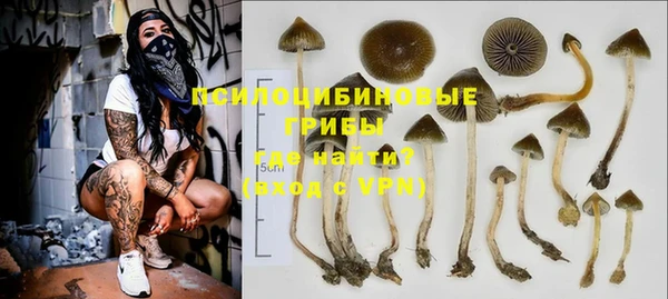 стаф Абинск