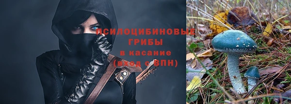 стаф Абинск