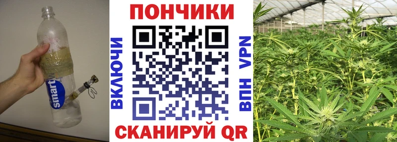 Каннабис гибрид  цена   Шали 